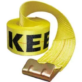 Winch Strap, 4-In. X 30-Ft. 1