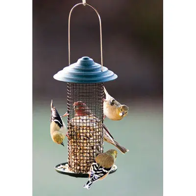 Woodlink Metal Mini Magnum Black Oil Sunflower Screen Feeder 1