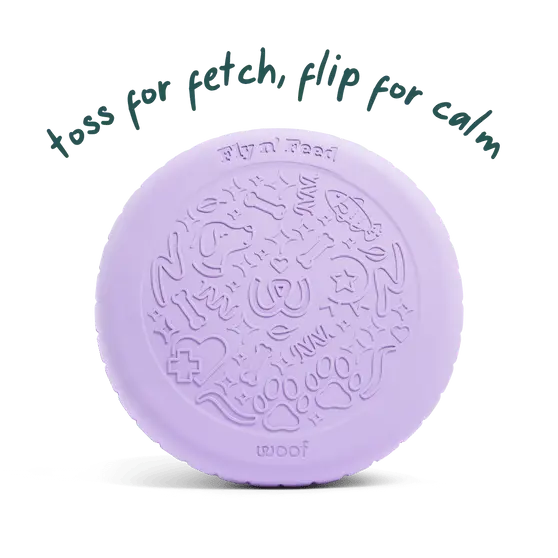 Woof Fly N' Feed Dog Toy 1