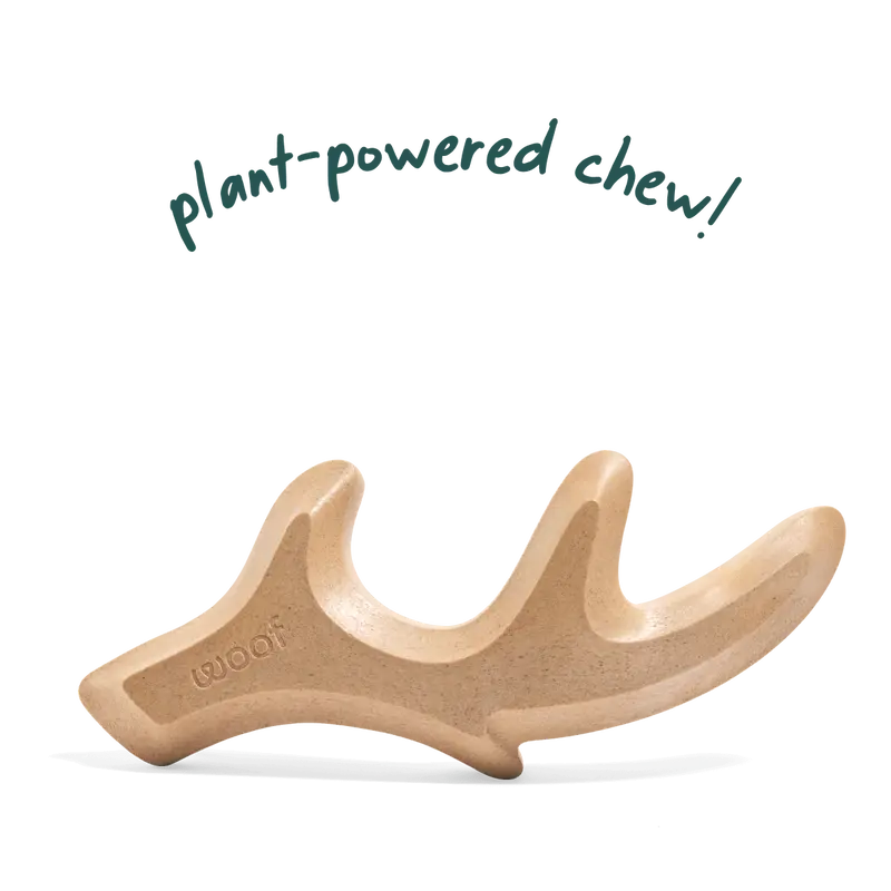 Woof Honestchew Antler Dog Treats 1