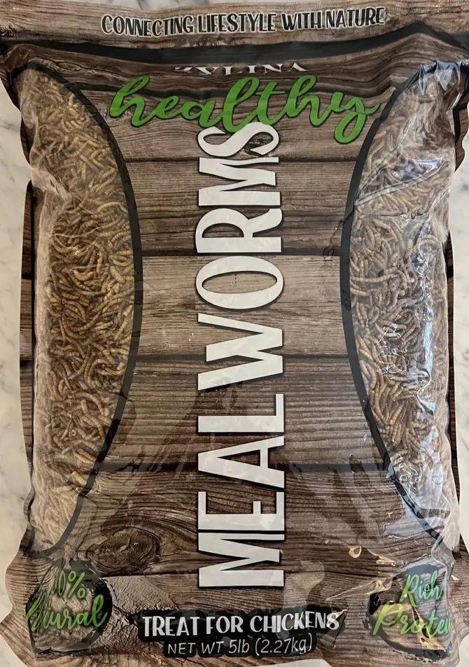Zylina Healthy Mealworms 1